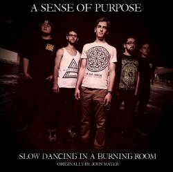 A Sense Of Purpose Slow Dancing In A Burning Room Single
