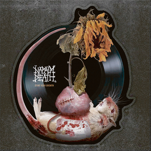Napalm Death - Utilitarian Review