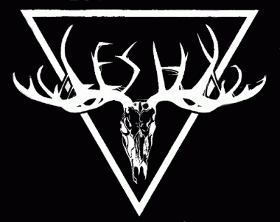 logo Leshy logo Leshy
