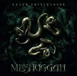 Meshuggah - discography, line-up, biography, interviews, photos