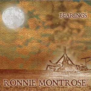 Montrose : Bearings Montrose : Bearings